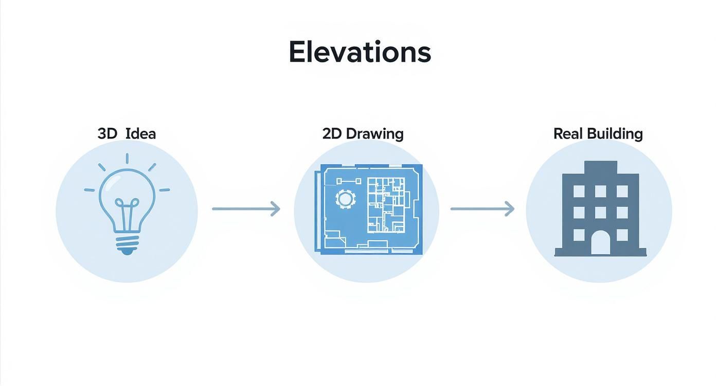 Infographic about elevations in architecture